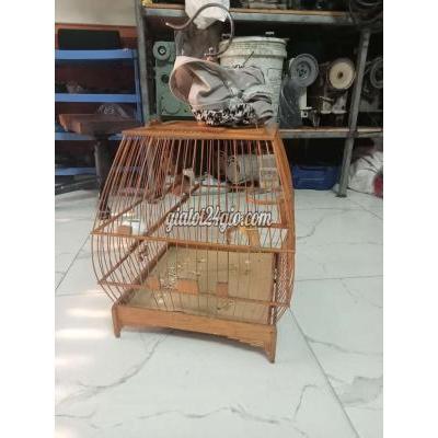 Chim ( Vật Nuôi ) Hóc Môn - Hồ Chí Minh Chim ( Vật Nuôi ) Hóc Môn - Hồ Chí Minh