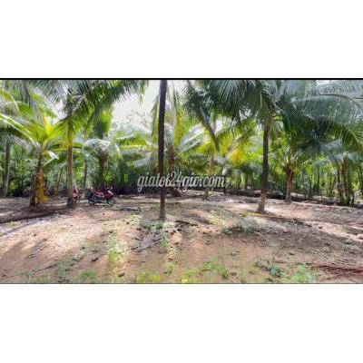 Đất Nông Nghiệp Giồng Trôm - Bến Tre