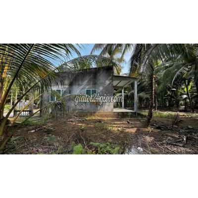 Đất Nông Nghiệp Giồng Trôm - Bến Tre