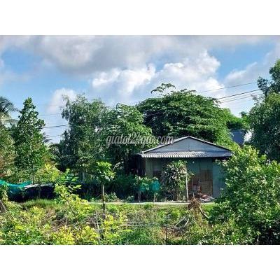 Đất Thổ Cư Cần Giuộc - Long An Đất Thổ Cư Cần Giuộc - Long An