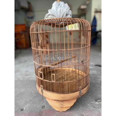 Đồ Dùng Cho Thú Cưng Cũ Vĩnh Cửu - Đồng Nai