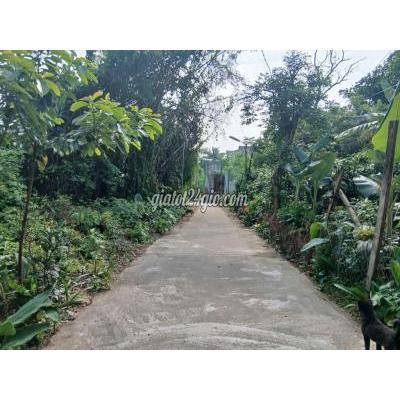 Đất Thổ Cư Điện Bàn - Quảng Nam Đất Thổ Cư Điện Bàn - Quảng Nam