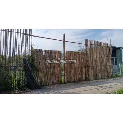Đất Nền Củ Chi - Hồ Chí Minh Đất Nền Củ Chi - Hồ Chí Minh