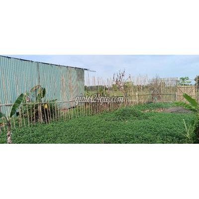 Đất Nền Củ Chi - Hồ Chí Minh Đất Nền Củ Chi - Hồ Chí Minh