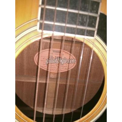 Đàn Guitar Cũ Tân Bình - Hồ Chí Minh Đàn Guitar Cũ Tân Bình - Hồ Chí Minh