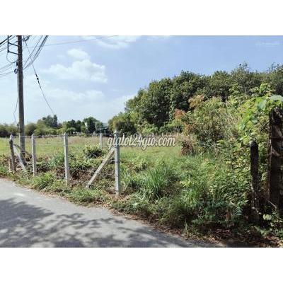 Đất Thổ Cư Củ Chi - Hồ Chí Minh