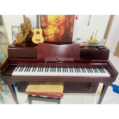 Đàn Guitar Cũ Tân Phú - Hồ Chí Minh Đàn Guitar Cũ Tân Phú - Hồ Chí Minh
