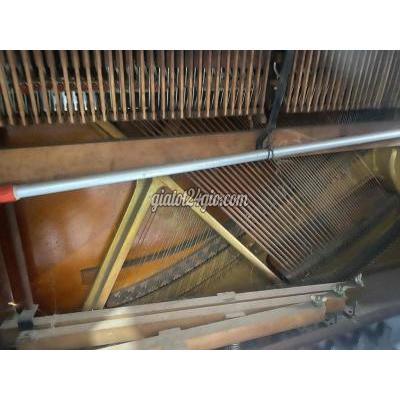 Đàn Guitar Cũ Tân Phú - Hồ Chí Minh Đàn Guitar Cũ Tân Phú - Hồ Chí Minh