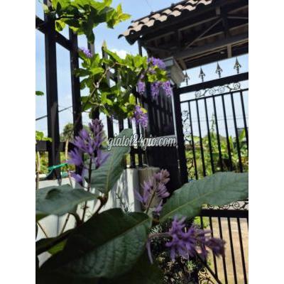 Bán Nhà Củ Chi - Hồ Chí Minh