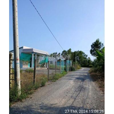Đất Thổ Cư Cần Đước - Long An Đất Thổ Cư Cần Đước - Long An