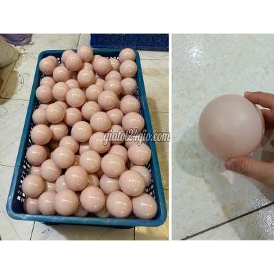 Mẹ Và Bé, Nôi Em Bé, Xe Đẩy Em Bé Bình Chánh Hồ Chí Minh Banh Nhựa Nhà Banh Khu Vui Chơi Liên Hoàn Mẹ Và Bé, Nôi Em Bé, Xe Đẩy Em Bé Bình Chánh Hồ Chí Minh Banh Nhựa Nhà Banh Khu Vui Chơi Liên Hoàn