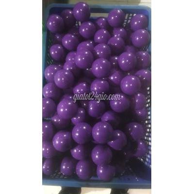 Mẹ Và Bé, Nôi Em Bé, Xe Đẩy Em Bé Bình Chánh Hồ Chí Minh Sỉ Banh Nhựa Mẹ Và Bé, Nôi Em Bé, Xe Đẩy Em Bé Bình Chánh Hồ Chí Minh Sỉ Banh Nhựa
