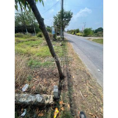Đất Thổ Cư Đức Hòa - Long An Đất Thổ Cư Đức Hòa - Long An