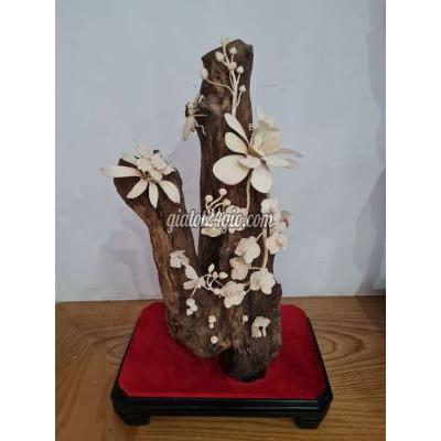 Cây Cảnh Cũ Ngũ Hành Sơn - Đà Nẵng