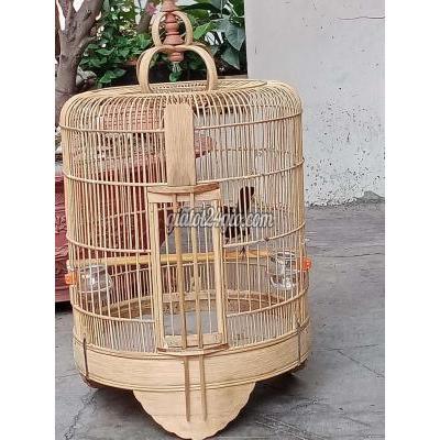 Chim ( Vật Nuôi ) Quận 11 - Hồ Chí Minh