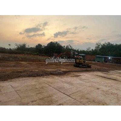 Đất Nông Nghiệp Bàu Bàng - Bình Dương Đất Nông Nghiệp Bàu Bàng - Bình Dương