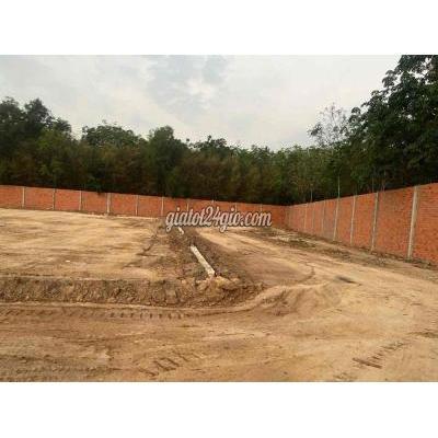 Đất Nông Nghiệp Bàu Bàng - Bình Dương Đất Nông Nghiệp Bàu Bàng - Bình Dương