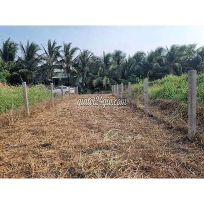 Đất Thổ Cư Chợ Gạo - Tiền Giang Đất Thổ Cư Chợ Gạo - Tiền Giang