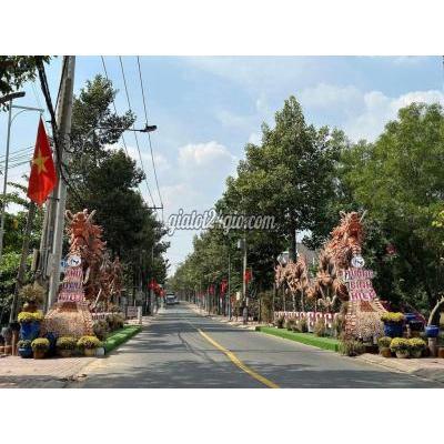 Đất Thổ Cư Thủ Dầu Một - Bình Dương