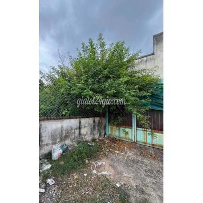 Đất Thổ Cư Hóc Môn - Hồ Chí Minh