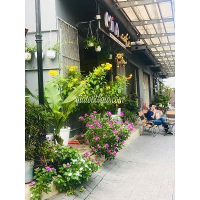 Tuyển Dụng Bình Chánh - Hồ Chí Minh