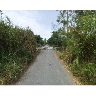 Đất Thổ Cư Cao Lãnh - Đồng Tháp Đất Thổ Cư Cao Lãnh - Đồng Tháp