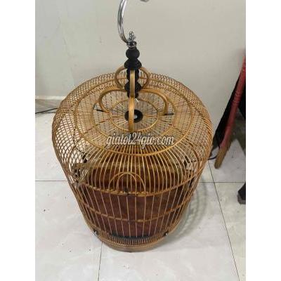 Chim ( Vật Nuôi ) Gò Vấp - Hồ Chí Minh