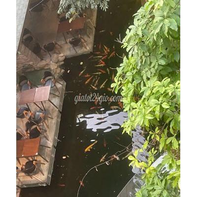 Tuyển Dụng Tân Bình Hồ Chí Minh Việc Làm Full Time Tuyển Dụng Tân Bình Hồ Chí Minh Việc Làm Full Time