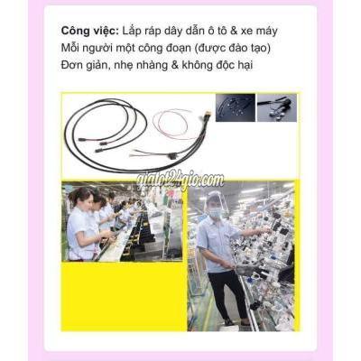 Tuyển Dụng Vụ Bản - Nam Định