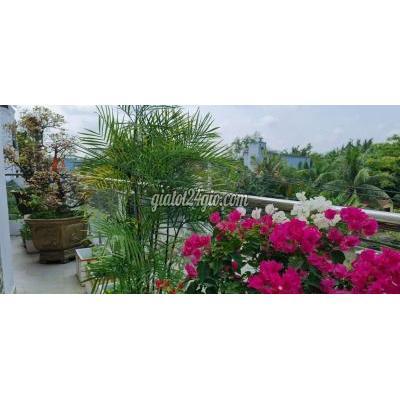 Bán Nhà Nhà Bè - Hồ Chí Minh