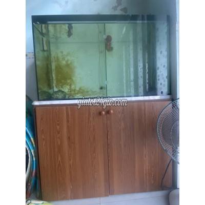 Vật Nuôi Thú Cưng Cũ Sơn Trà - Đà Nẵng