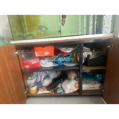 Vật Nuôi Thú Cưng Cũ Sơn Trà - Đà Nẵng