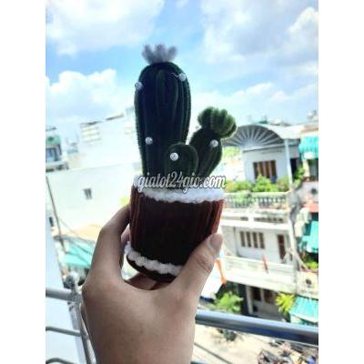 Cây Cảnh Quận 11 - Hồ Chí Minh Cây Cảnh Quận 11 - Hồ Chí Minh
