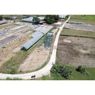 Đất Nông Nghiệp Hòa Vang - Đà Nẵng Đất Nông Nghiệp Hòa Vang - Đà Nẵng