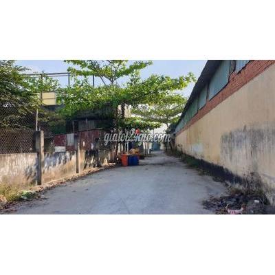 Đất Thổ Cư Hóc Môn - Hồ Chí Minh