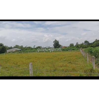 Đất Thổ Cư Châu Thành - Tây Ninh Đất Thổ Cư Châu Thành - Tây Ninh
