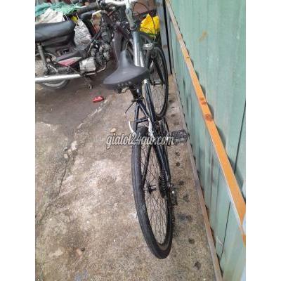 Xe Đạp Cũ Quận 12 - Hồ Chí Minh