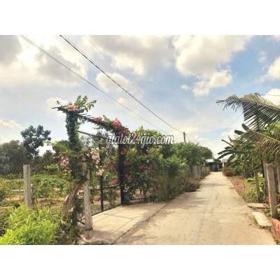Đất Thổ Cư Tân Trụ - Long An Đất Thổ Cư Tân Trụ - Long An
