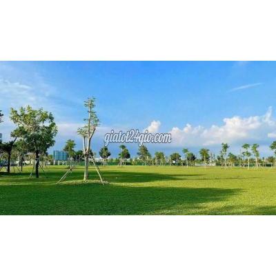 Đất Thổ Cư Thủ Đức - Hồ Chí Minh Đất Thổ Cư Thủ Đức - Hồ Chí Minh