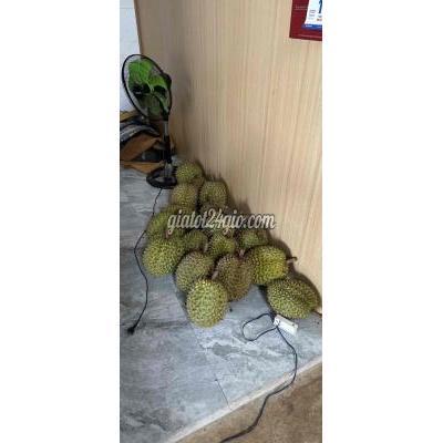 Trái Cây Quận 12 - Hồ Chí Minh