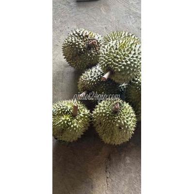 Trái Cây Quận 12 - Hồ Chí Minh