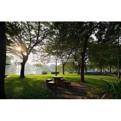 Bán Căn Hộ Tân Phú - Hồ Chí Minh