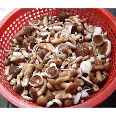 Rau Củ Xuân Lộc - Đồng Nai Rau Củ Xuân Lộc - Đồng Nai