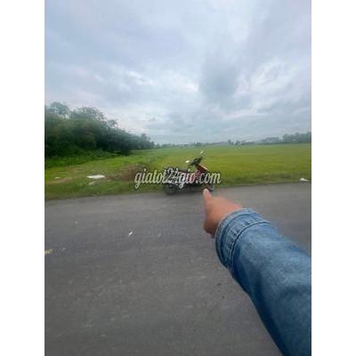 Đất Thổ Cư Đức Hòa - Long An Đất Thổ Cư Đức Hòa - Long An