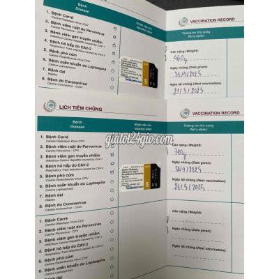 Vật Nuôi Thú Cưng Quận 7 - Hồ Chí Minh Vật Nuôi Thú Cưng Quận 7 - Hồ Chí Minh