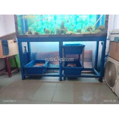 Đồ Dùng Cho Thú Cưng Cũ Bình Tân - Hồ Chí Minh Đồ Dùng Cho Thú Cưng Cũ Bình Tân - Hồ Chí Minh