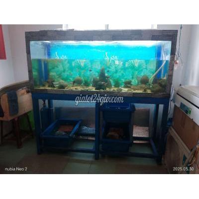 Đồ Dùng Cho Thú Cưng Cũ Bình Tân - Hồ Chí Minh Đồ Dùng Cho Thú Cưng Cũ Bình Tân - Hồ Chí Minh