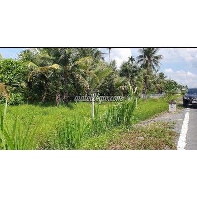 Đất Nông Nghiệp Càng Long - Trà Vinh Đất Nông Nghiệp Càng Long - Trà Vinh