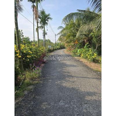 Đất Nông Nghiệp Mang Thít - Vĩnh Long Đất Nông Nghiệp Mang Thít - Vĩnh Long