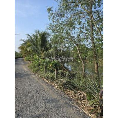 Đất Nông Nghiệp Mang Thít - Vĩnh Long Đất Nông Nghiệp Mang Thít - Vĩnh Long